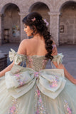 AMIRA